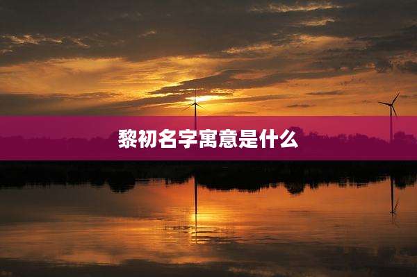 黎初名字寓意是什么