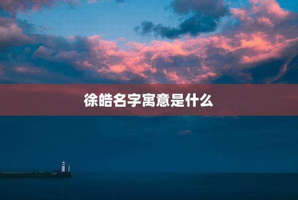 徐皓名字寓意是什么