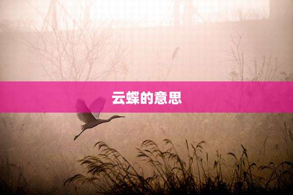 云蝶的意思