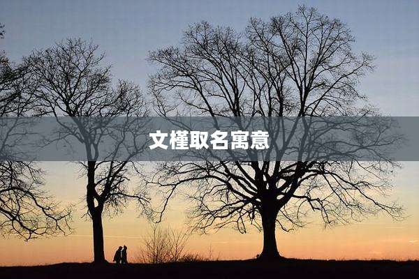 文槿取名寓意