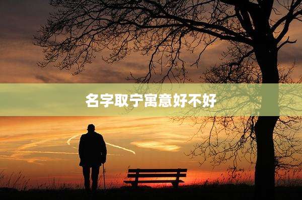 名字取宁寓意好不好