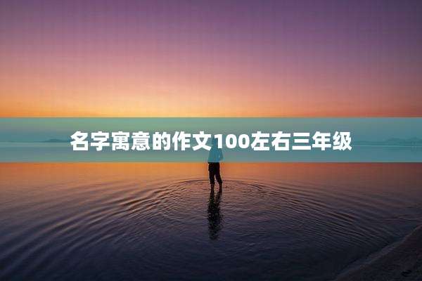 名字寓意的作文100左右三年级