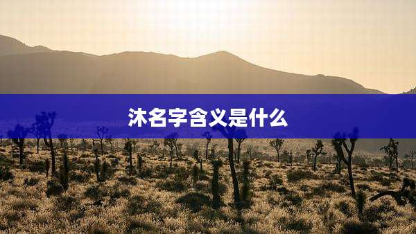 沐名字含义是什么