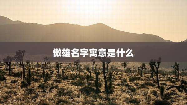 傲雄名字寓意是什么