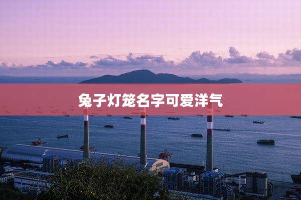 兔子灯笼名字可爱洋气