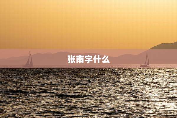 张南字什么