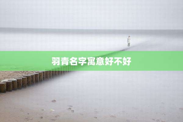 羽青名字寓意好不好