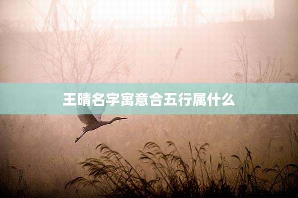王晴名字寓意合五行属什么