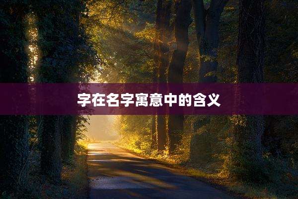 字在名字寓意中的含义