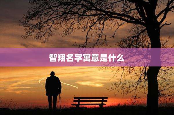 智翔名字寓意是什么