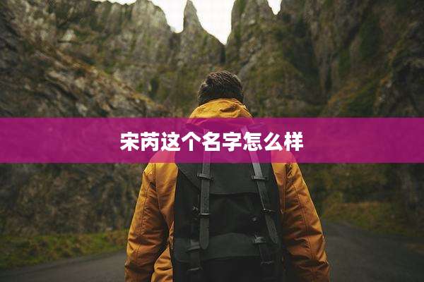 宋芮这个名字怎么样