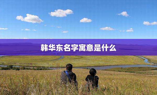 韩华东名字寓意是什么