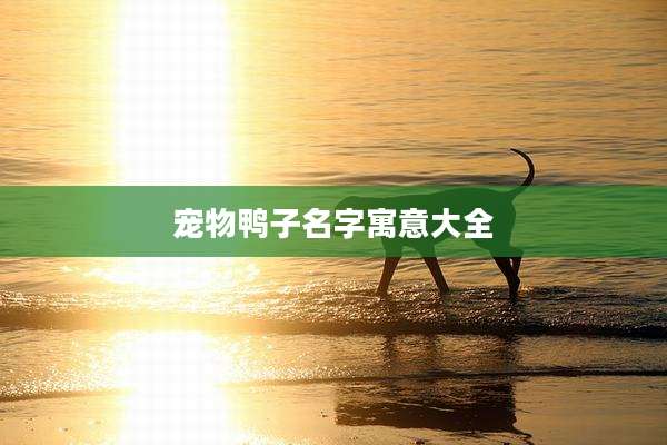 宠物鸭子名字寓意大全