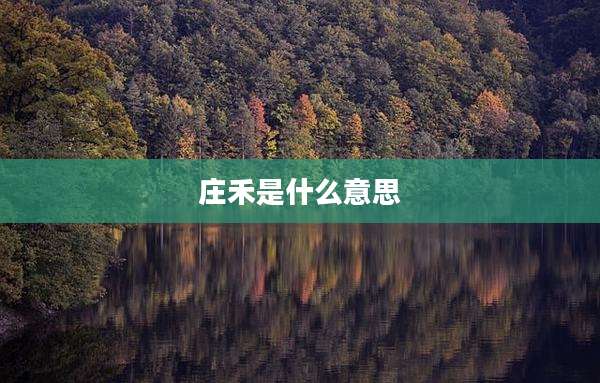 庄禾是什么意思