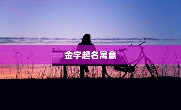 金字起名寓意