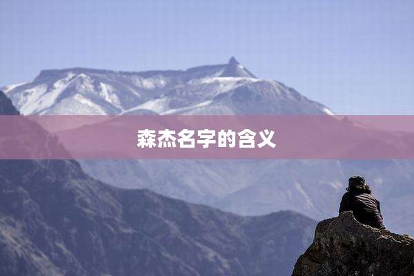 森杰名字的含义