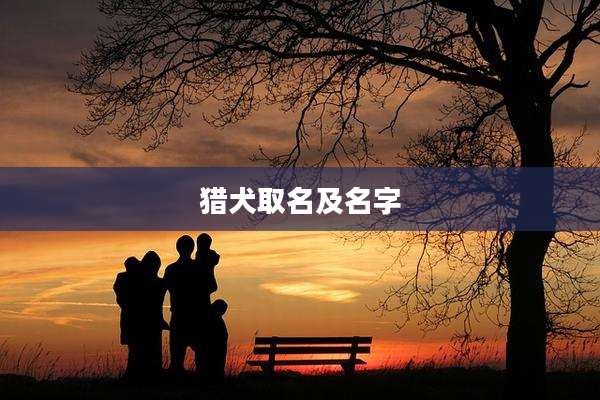 猎犬取名及名字