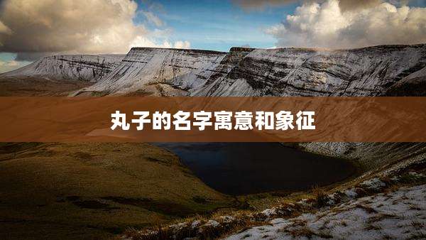 丸子的名字寓意和象征