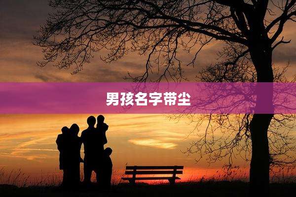 男孩名字带尘