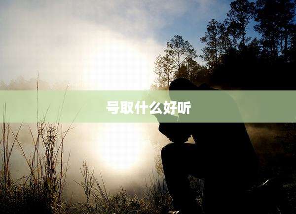 号取什么好听