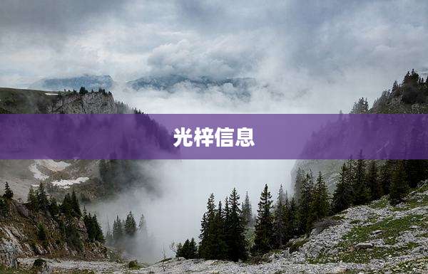 光梓信息