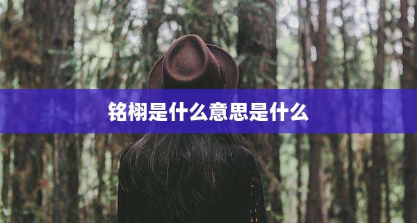 铭栩是什么意思是什么