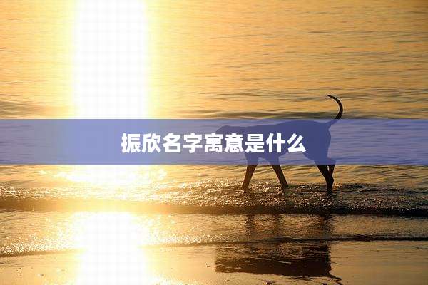 振欣名字寓意是什么