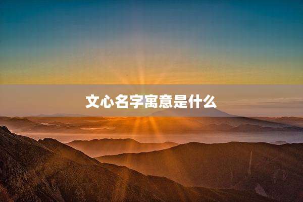 文心名字寓意是什么