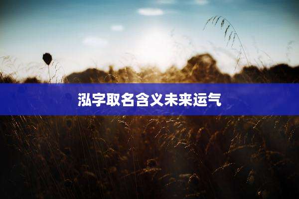 泓字取名含义未来运气