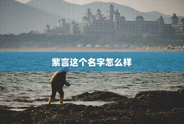 紫言这个名字怎么样