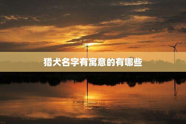 猎犬名字有寓意的有哪些