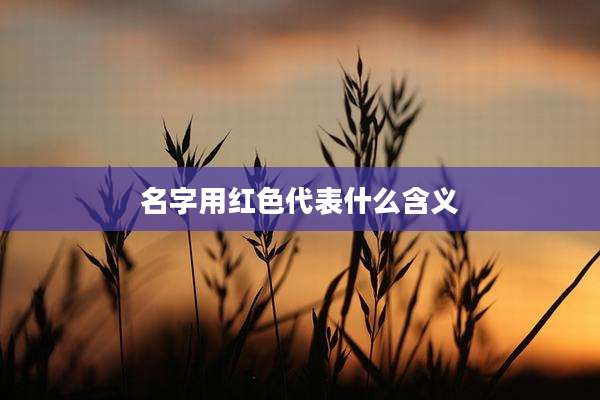 名字用红色代表什么含义