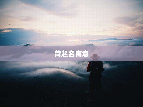 菏起名寓意