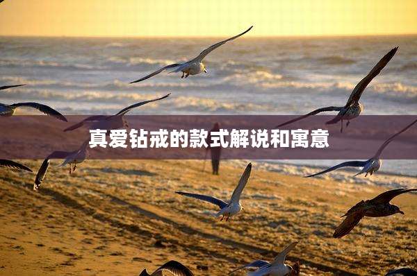 真爱钻戒的款式解说和寓意