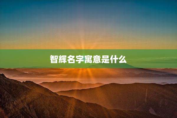 智辉名字寓意是什么