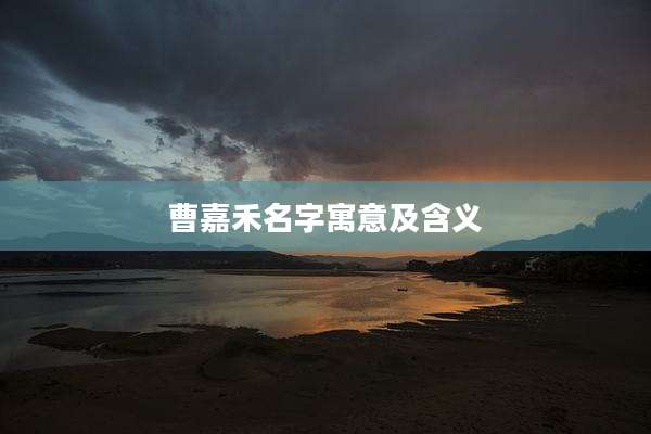 曹嘉禾名字寓意及含义
