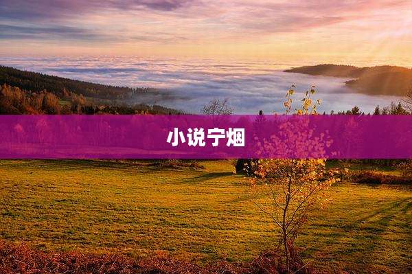 小说宁烟