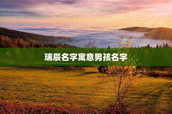 瑞辰名字寓意男孩名字