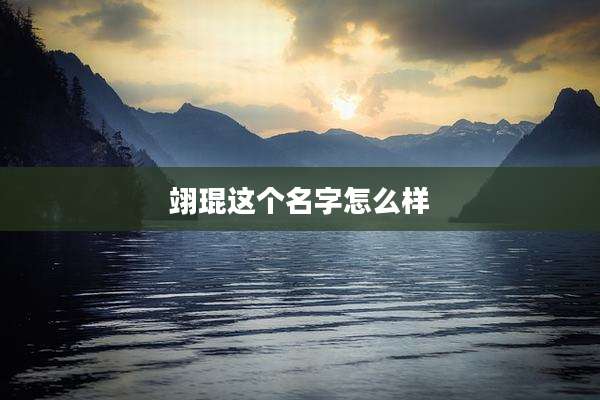 翊琨这个名字怎么样