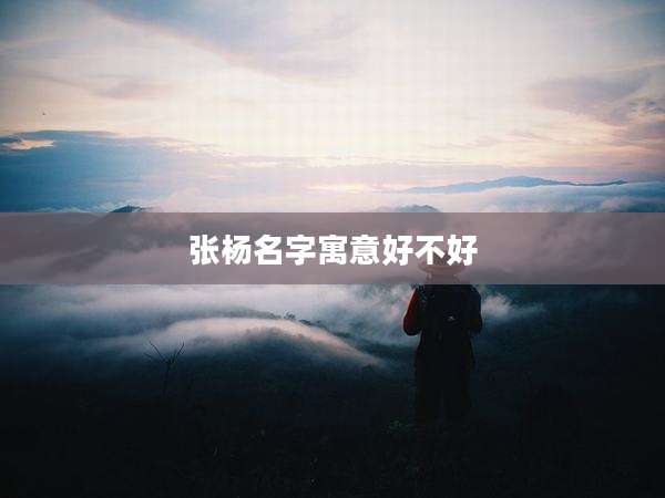 张杨名字寓意好不好