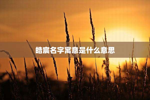 皓宸名字寓意是什么意思