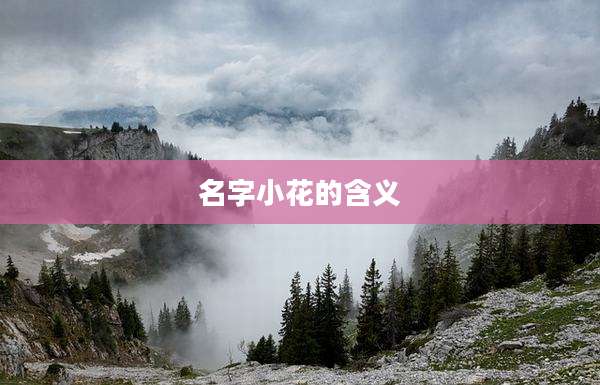 名字小花的含义