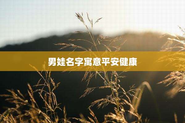 男娃名字寓意平安健康