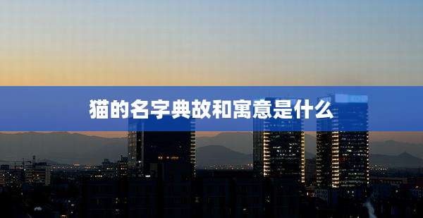 猫的名字典故和寓意是什么