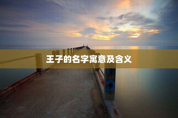 王子的名字寓意及含义