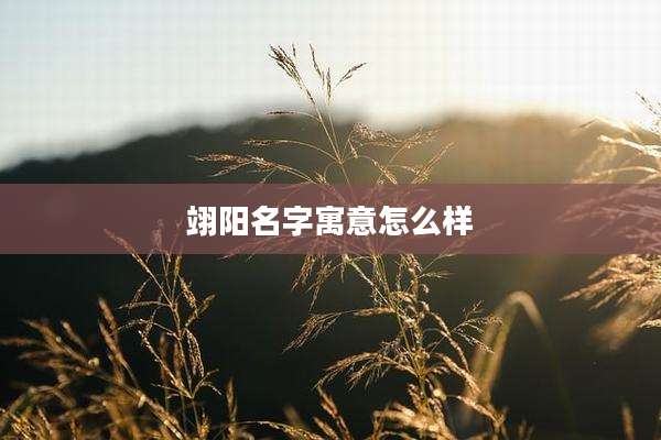 翊阳名字寓意怎么样
