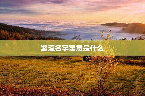 紫滢名字寓意是什么