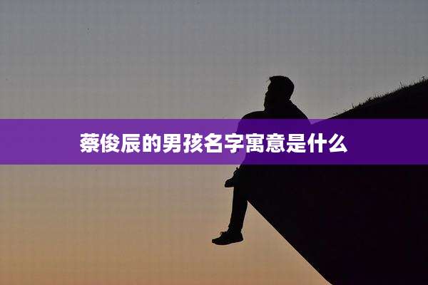 蔡俊辰的男孩名字寓意是什么