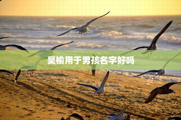 昊榆用于男孩名字好吗