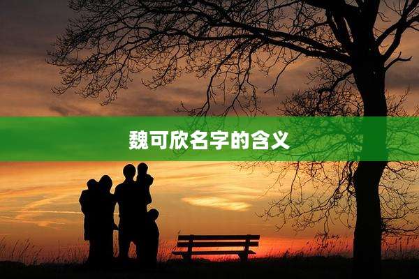 魏可欣名字的含义